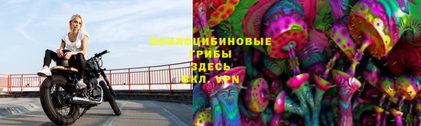 ECSTASY Магадан