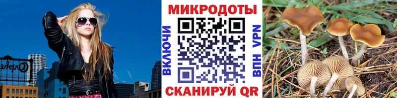 Галлюциногенные грибы Psilocybine cubensis  Купить  Ядрин 